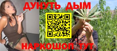 трава Кандалакша