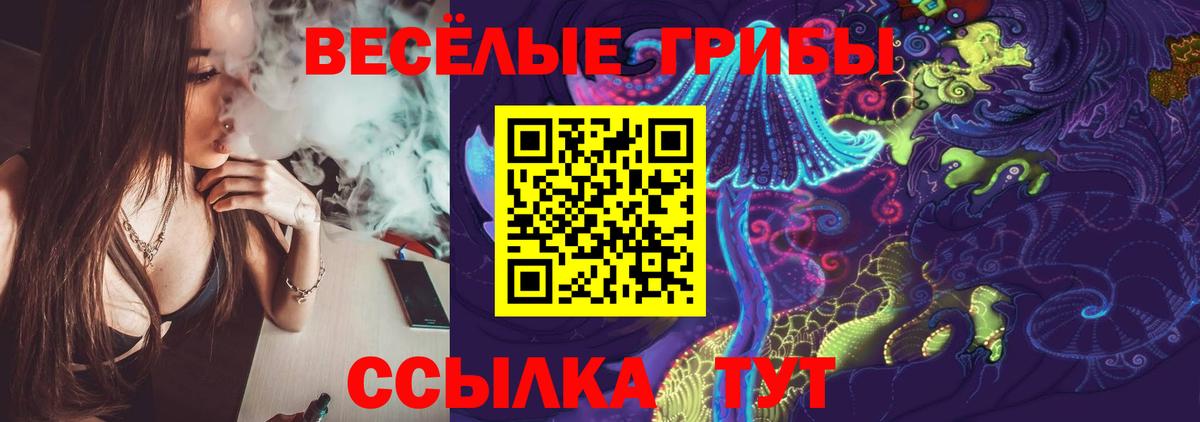 наркошоп  Вход с VPN  Кумертау  Галлюциногенные грибы GOLDEN TEACHER 